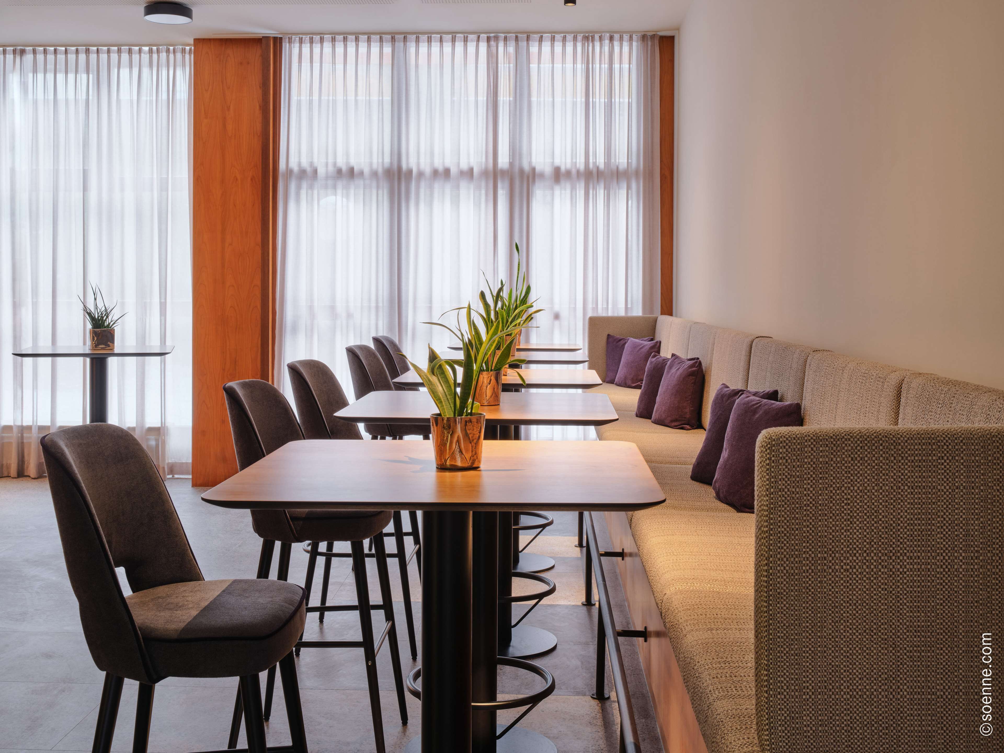 Quarto de hotel moderno com área de refeições, sofá e pequena mesa com plantas.