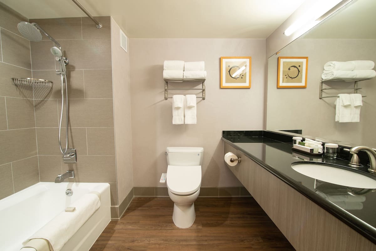 combined shower/bathtub, free toiletries, hair dryer, towels