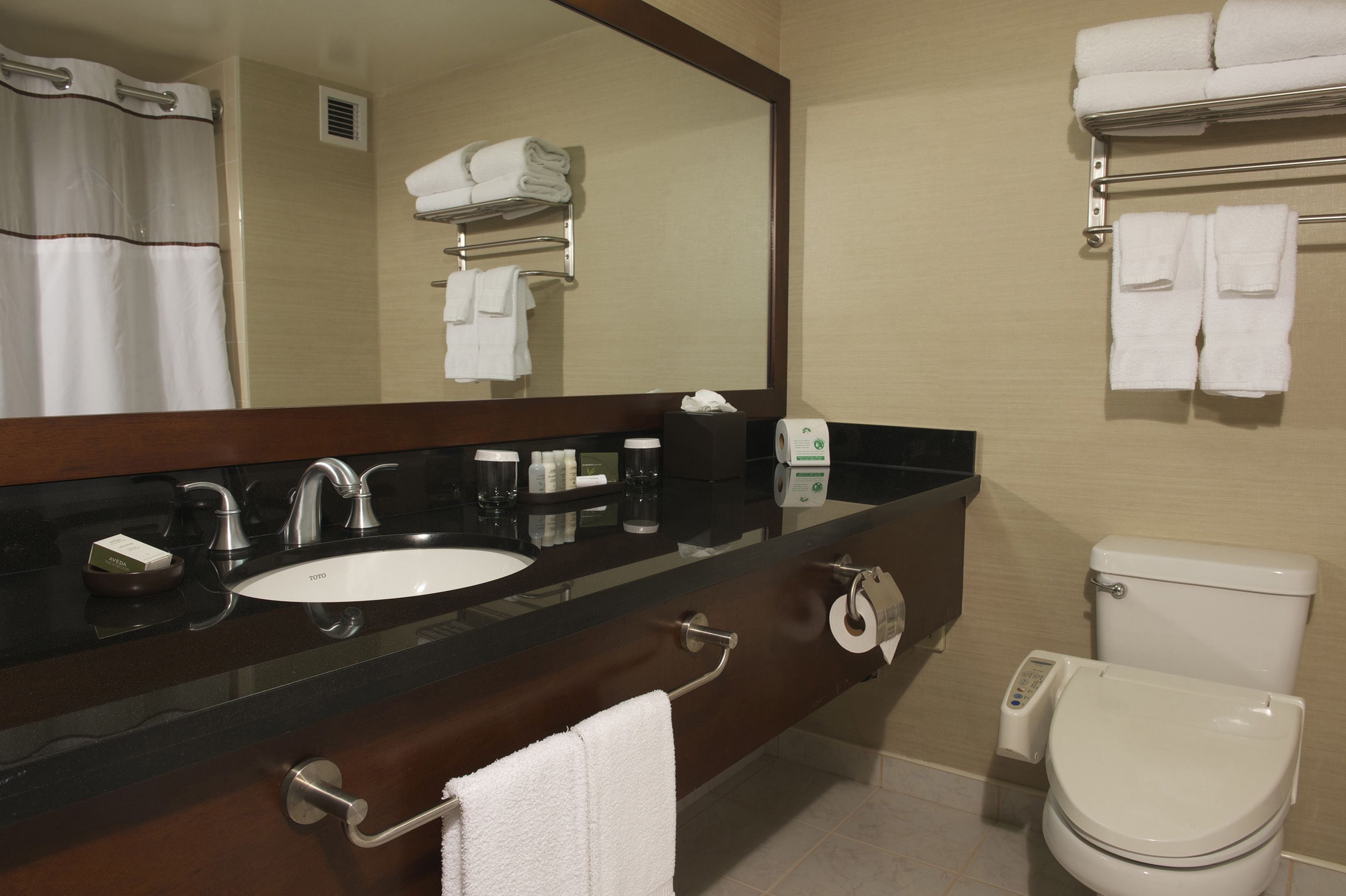 combined shower/bathtub, free toiletries, hair dryer, towels