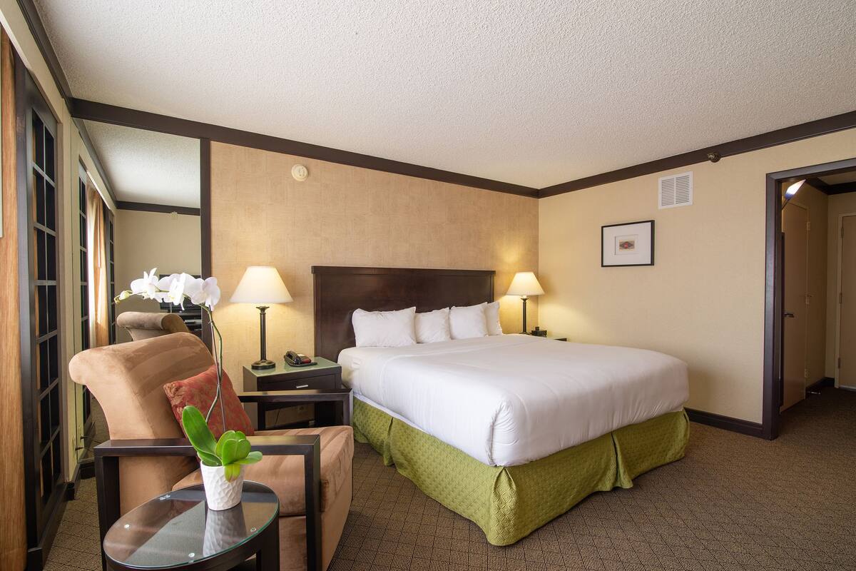 A hotel room with a large bed, two bedside lamps, a chair, a small table with a plant, and a view of the hallway.