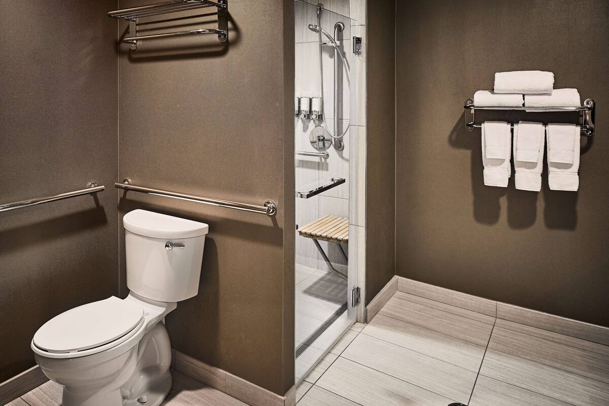 combined shower/bathtub, free toiletries, hair dryer, towels