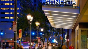 A nighttime city street with a building labeled "SONESTA" and a snow emergency route sign.