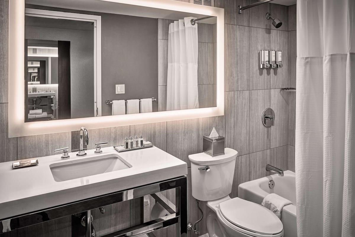 combined shower/bathtub, free toiletries, hair dryer, towels