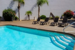 A swimming pool with lounge chairs and palm trees.