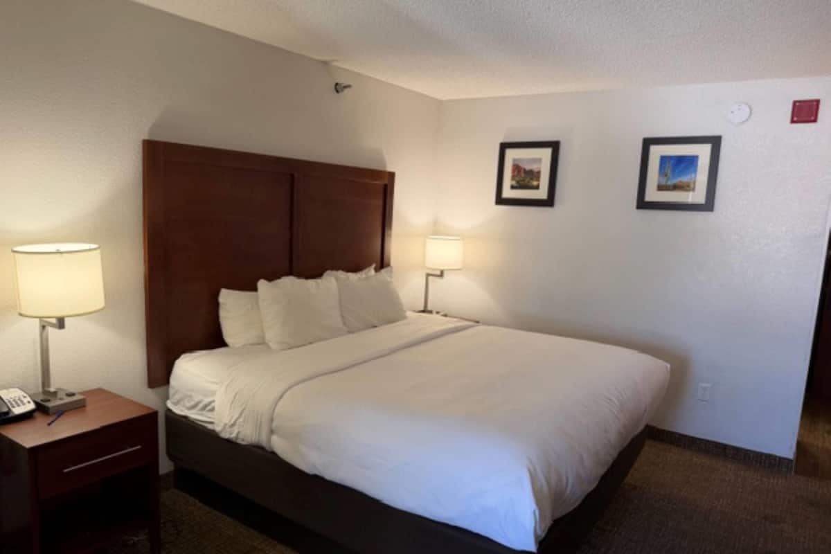 Room, 1 King Bed, Non Smoking