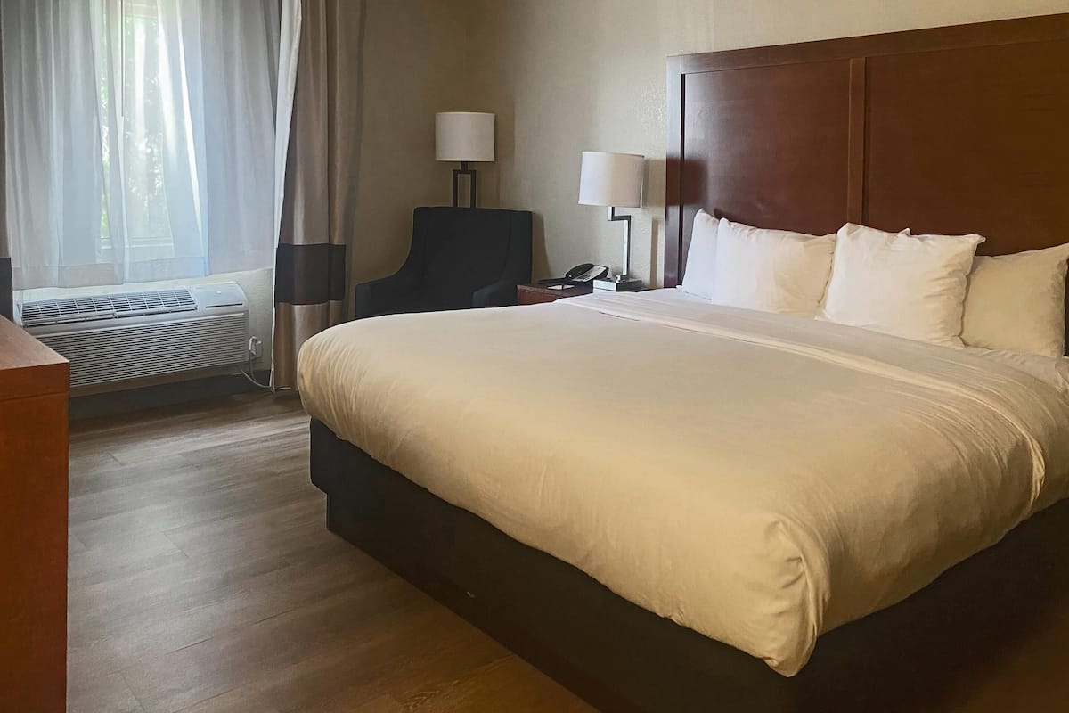 Room, 1 King Bed, Non Smoking