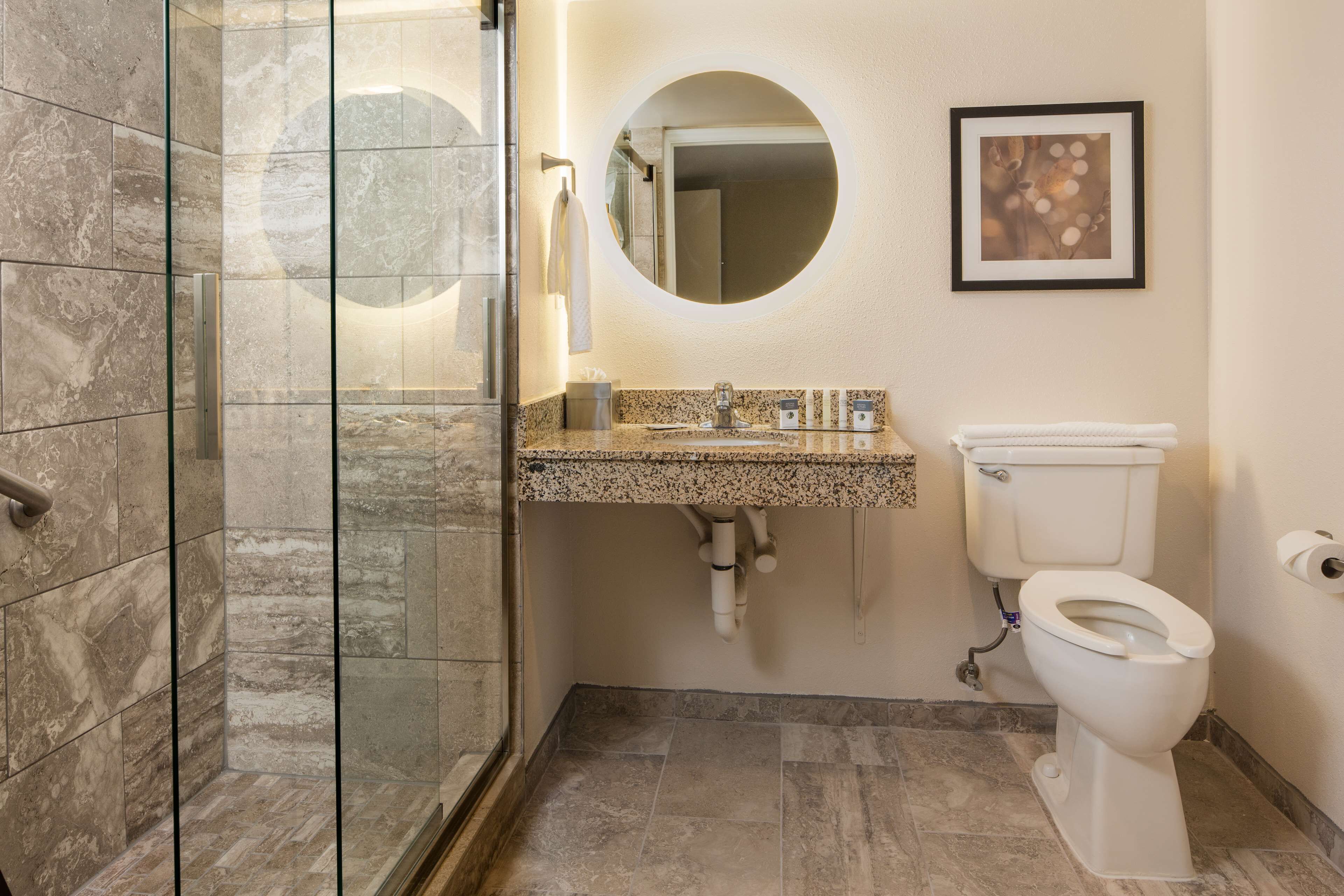 A bathroom with a glass-enclosed shower, a granite countertop sink, a toilet, and a framed picture on the wall.