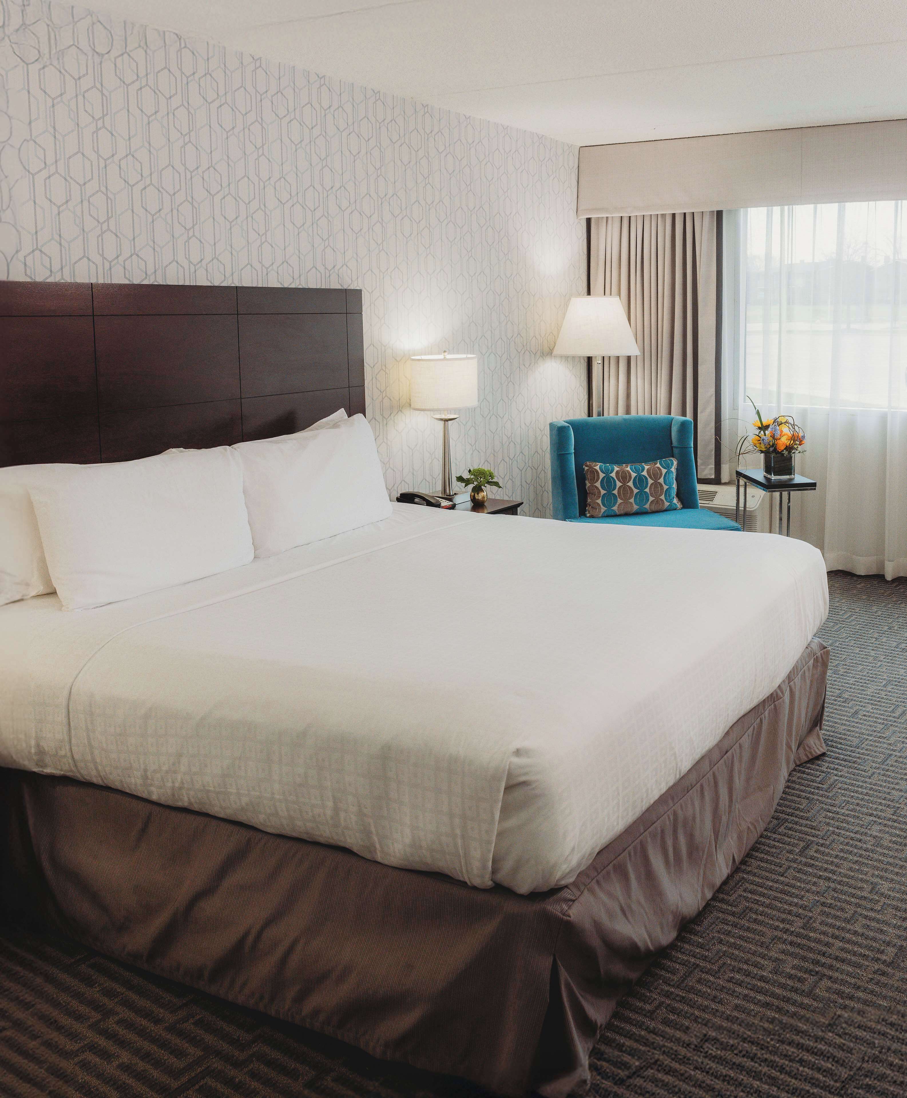 Executive Room, 1 King Bed