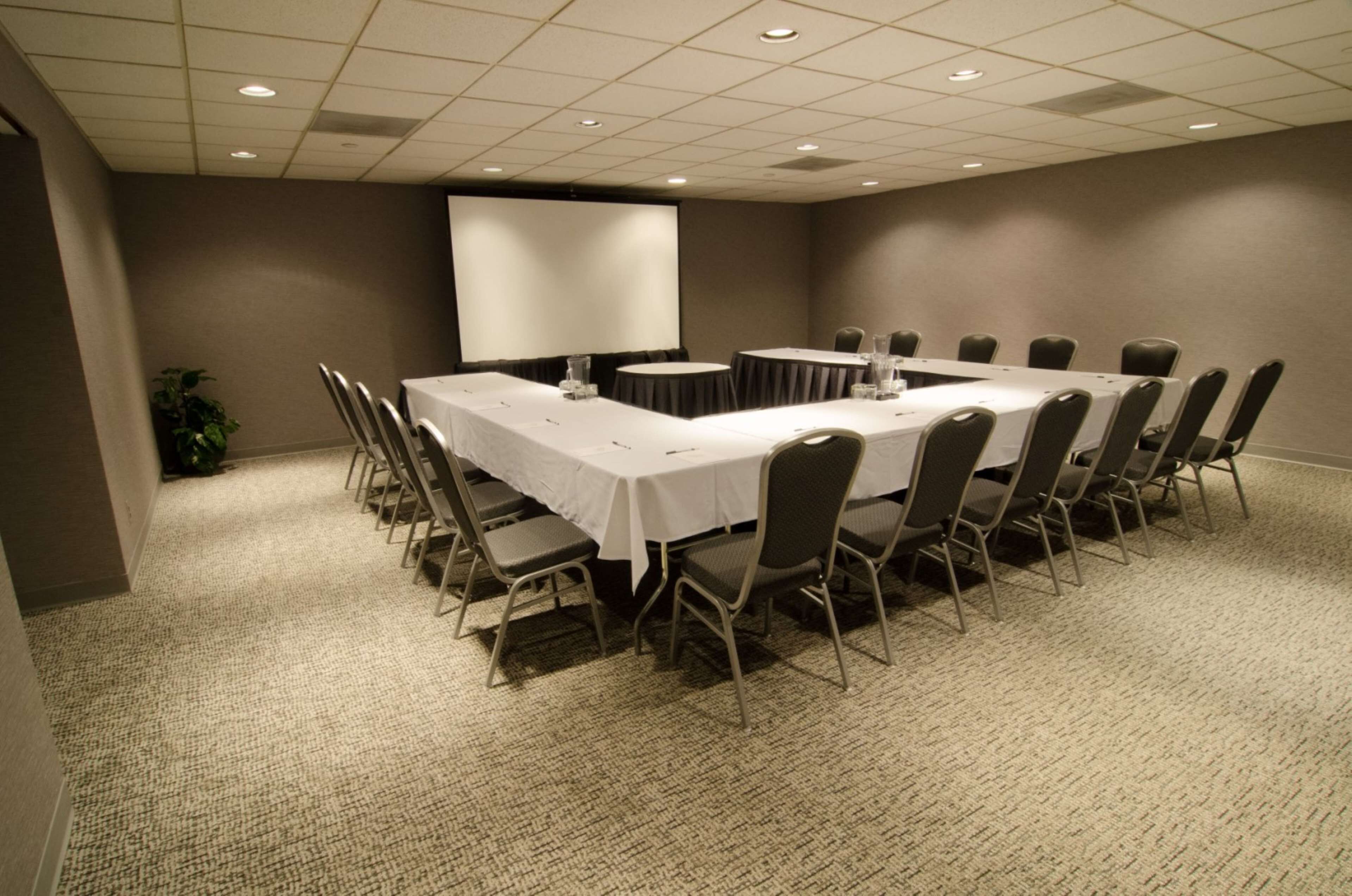 A conference room with a long table, chairs, a projector screen, and carpeted flooring.