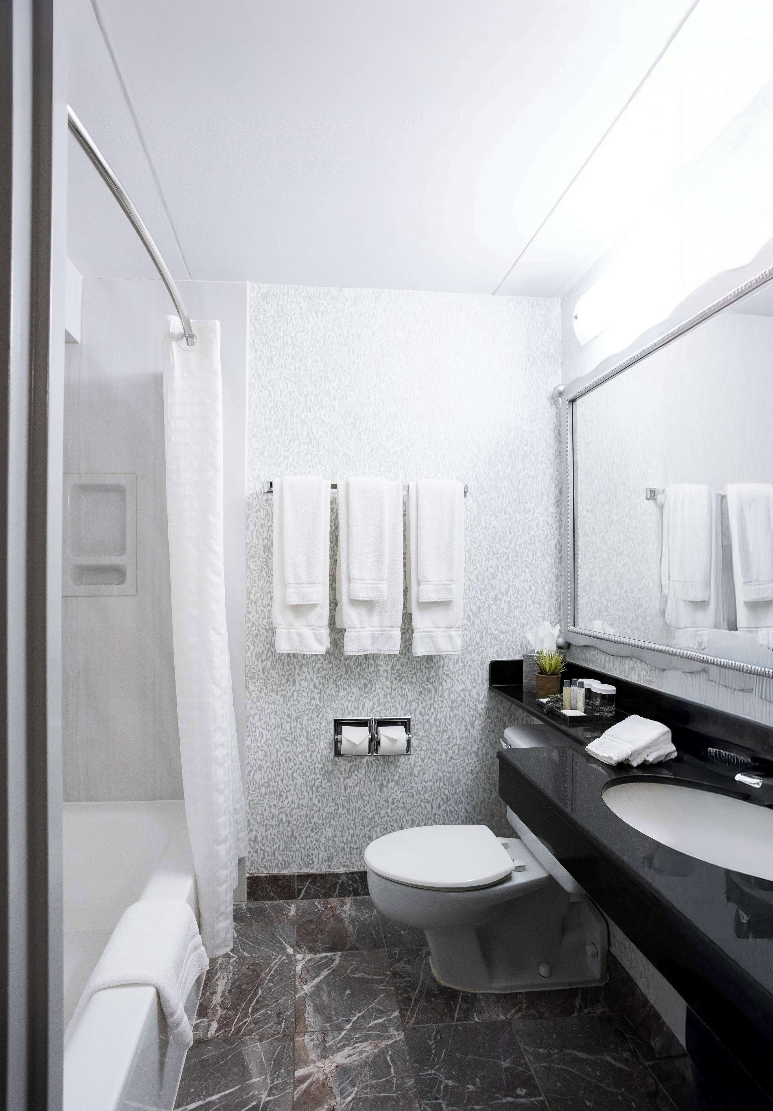 combined shower/bathtub, free toiletries, hair dryer, towels