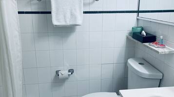 Combined shower/tub, free toiletries, hair dryer, towels