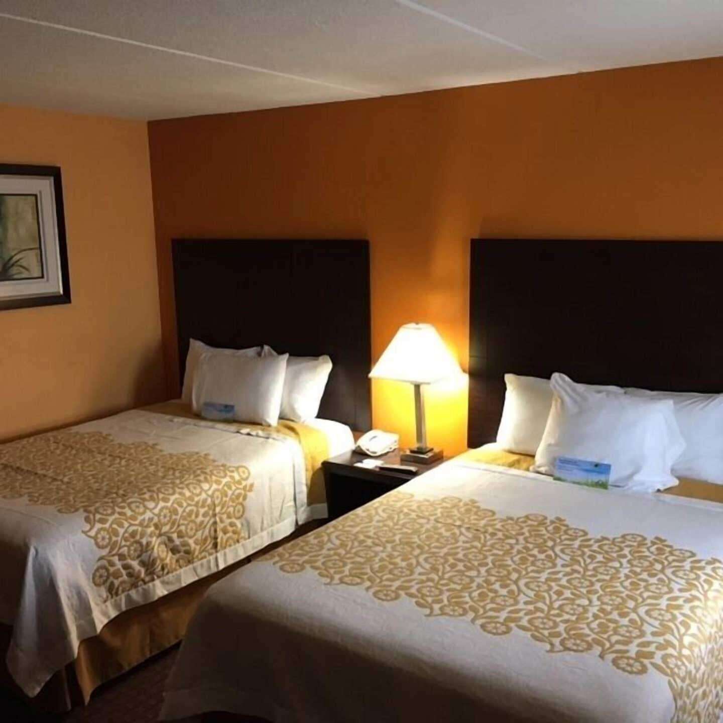 1 chambre, lit avec matelas à plateau-coussin, fer et planche à repasser