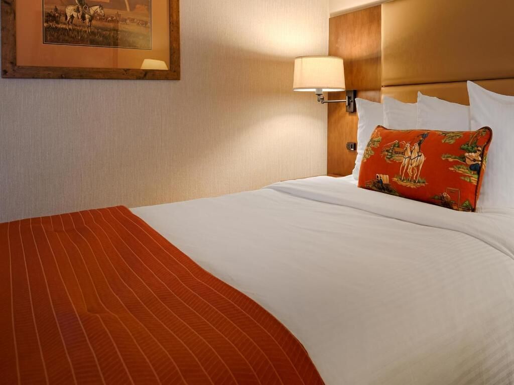 Hypo-allergenic bedding, desk, laptop workspace, blackout curtains