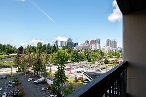 Vistas desde la habitación