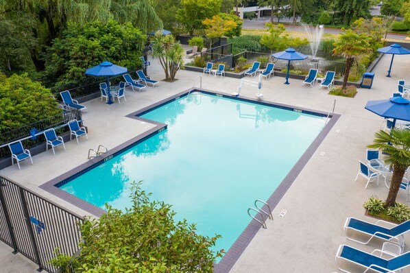 A rectangular swimming pool with blue water, surrounded by lounge chairs and umbrellas, set in a landscaped area with trees and shrubs.