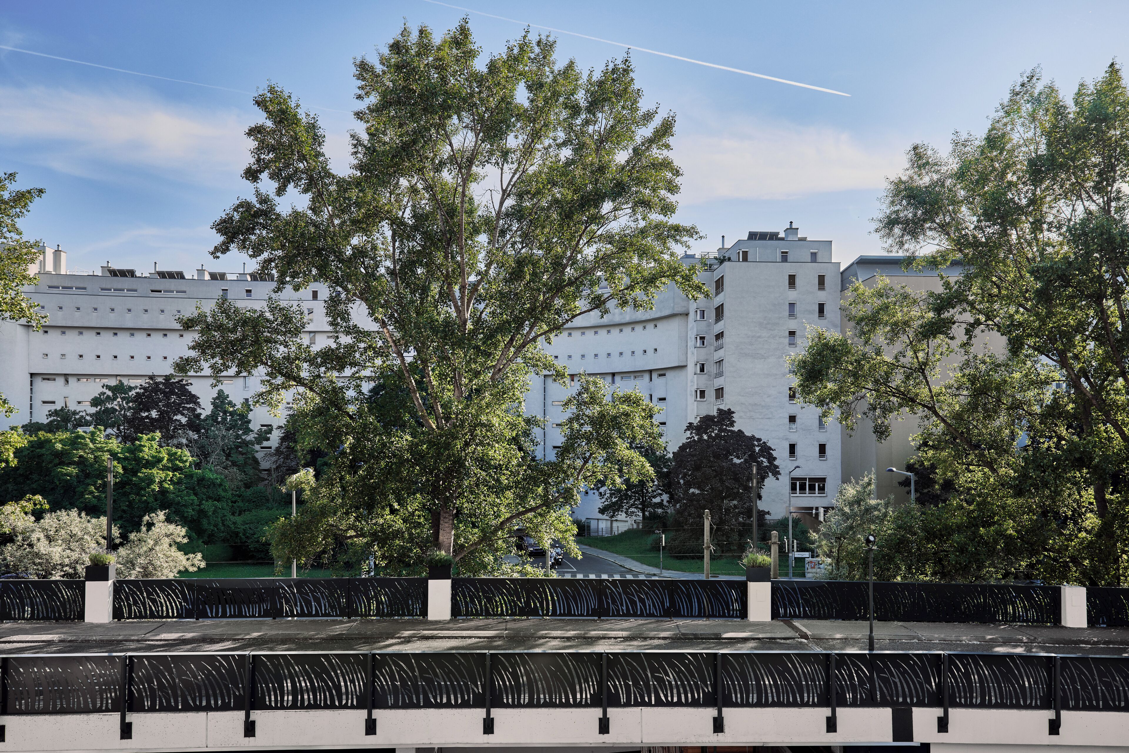 A modern building with a flat roof, surrounded by trees and a metal fence.