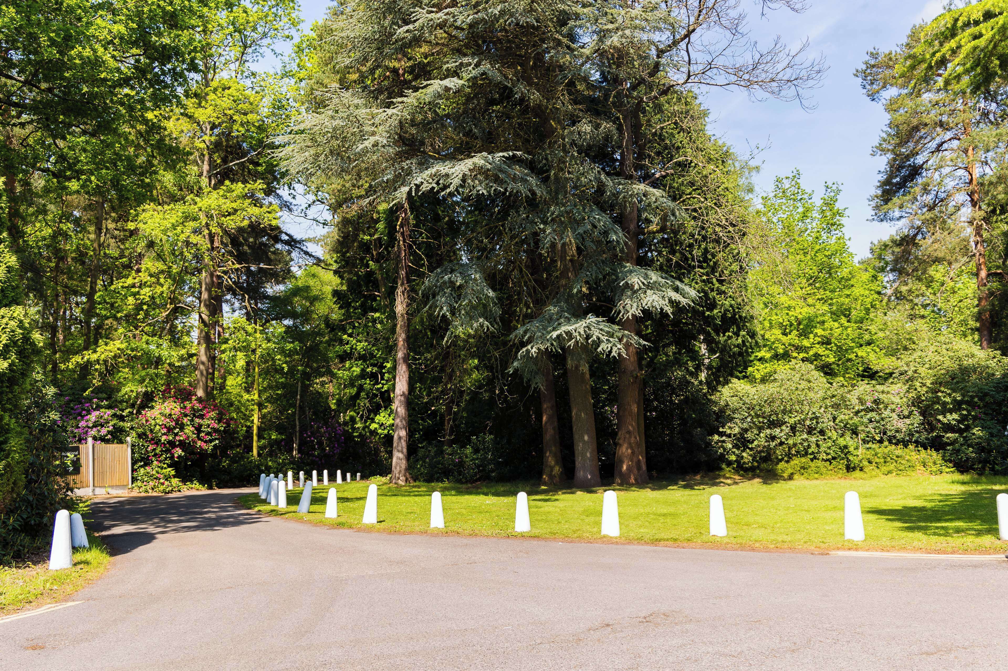 Photo - Hilton Cobham