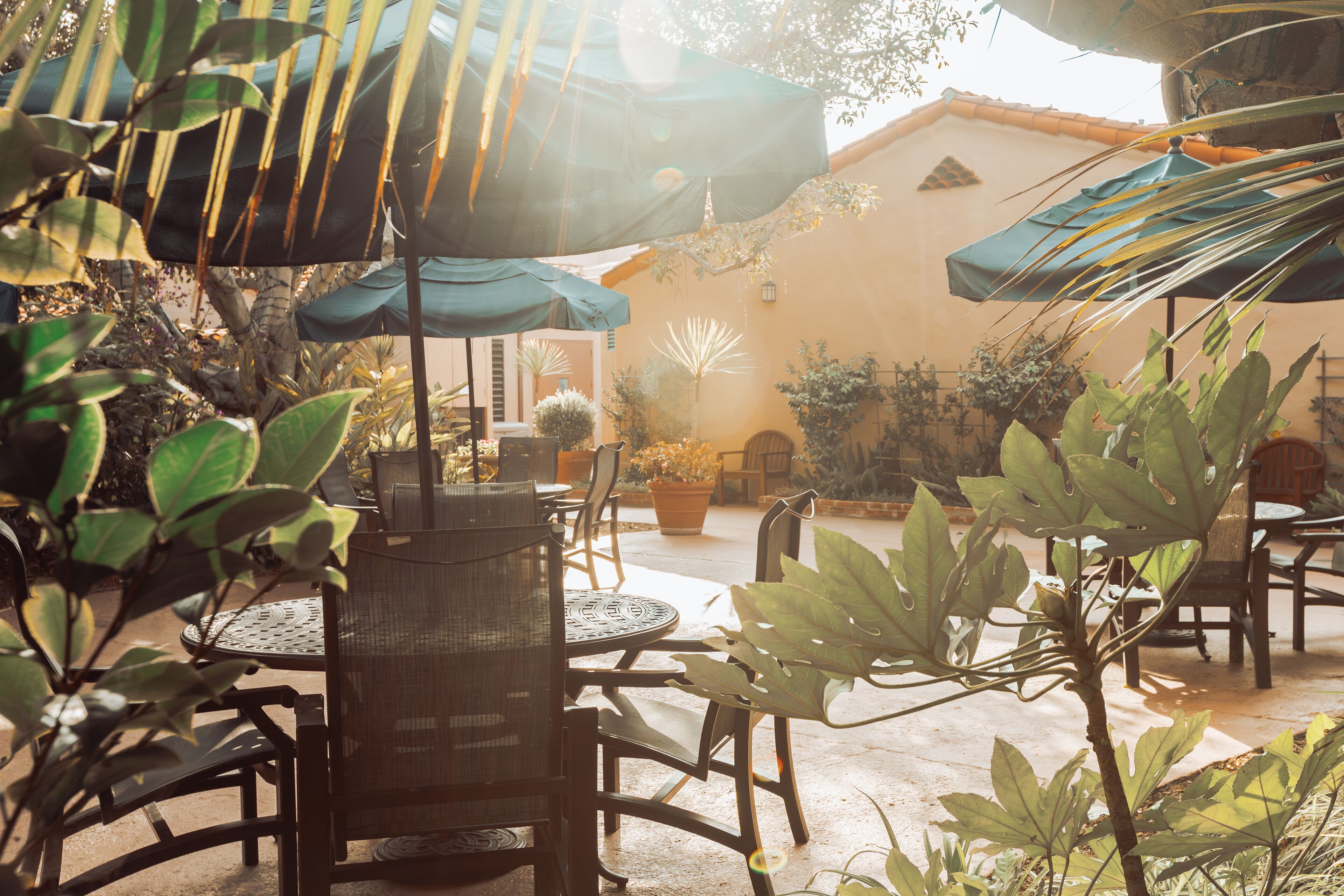Un espace extérieur aménagé en terrasse, avec des tables et des chaises rondes, entouré de plantes en pot et de parasols qui offrent de l’ombre.