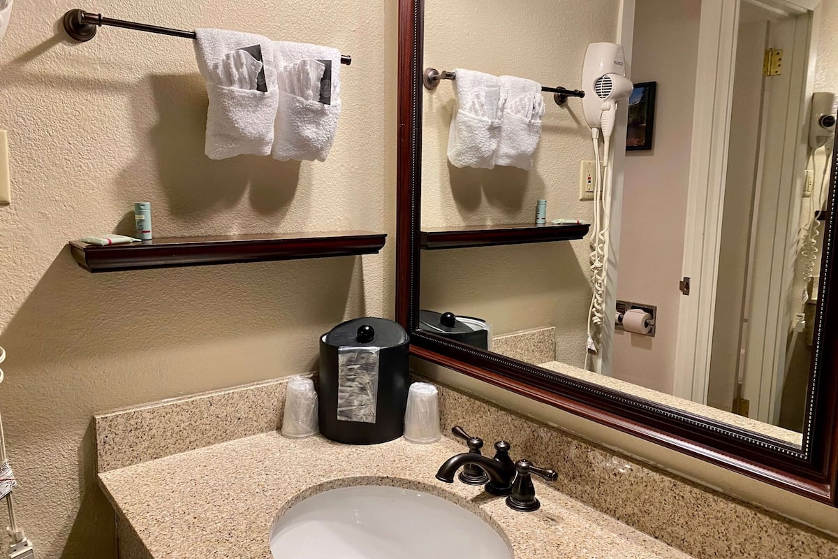 Douche, articles de toilette gratuits, sĂšche-cheveux