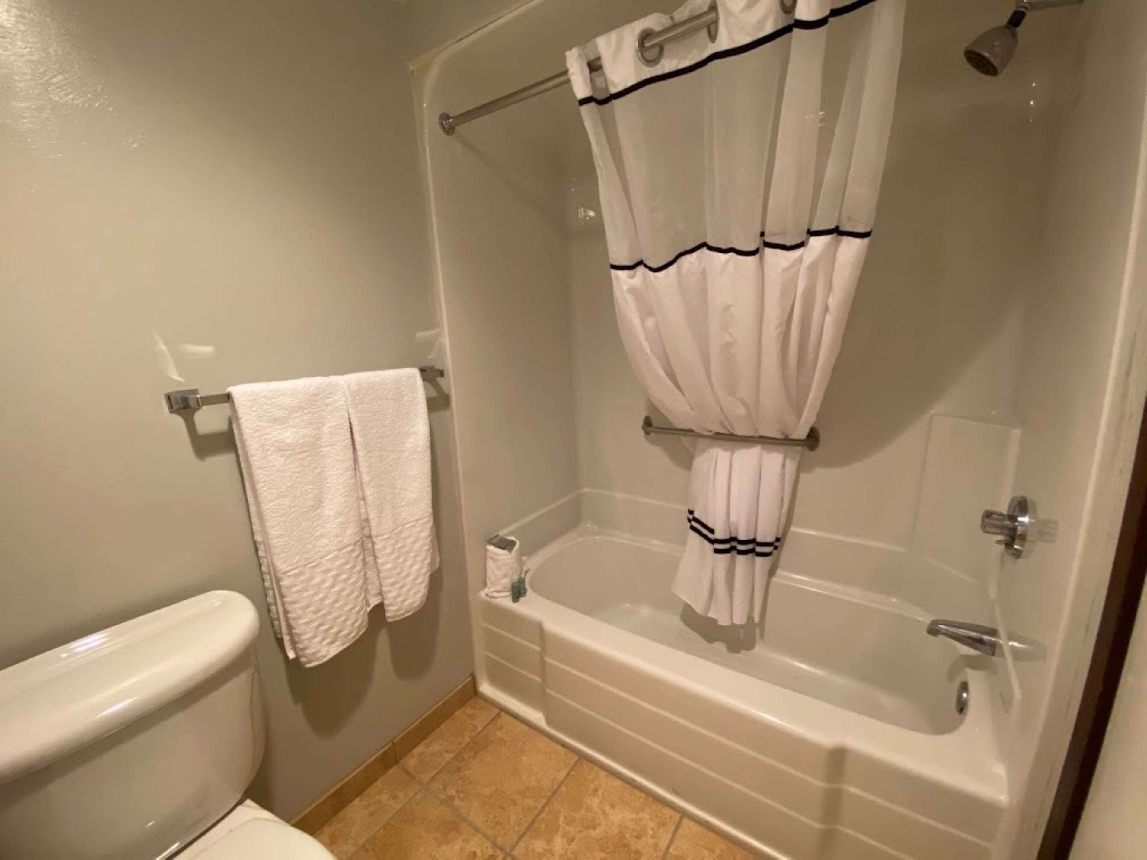 suite, 1 king bed, non smoking | bathroom | shower, free toiletries, hair dryer, towels