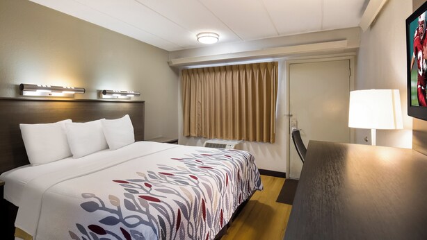 A hotel room with a bed, bedside table, lamp, and a view of the outside. - Red Roof Inn Wilkes-Barre Arena (Wilkes-Barre)