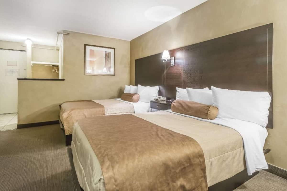 Habitación de hotel con dos camas, una mesita de noche, una lámpara y un espejo.