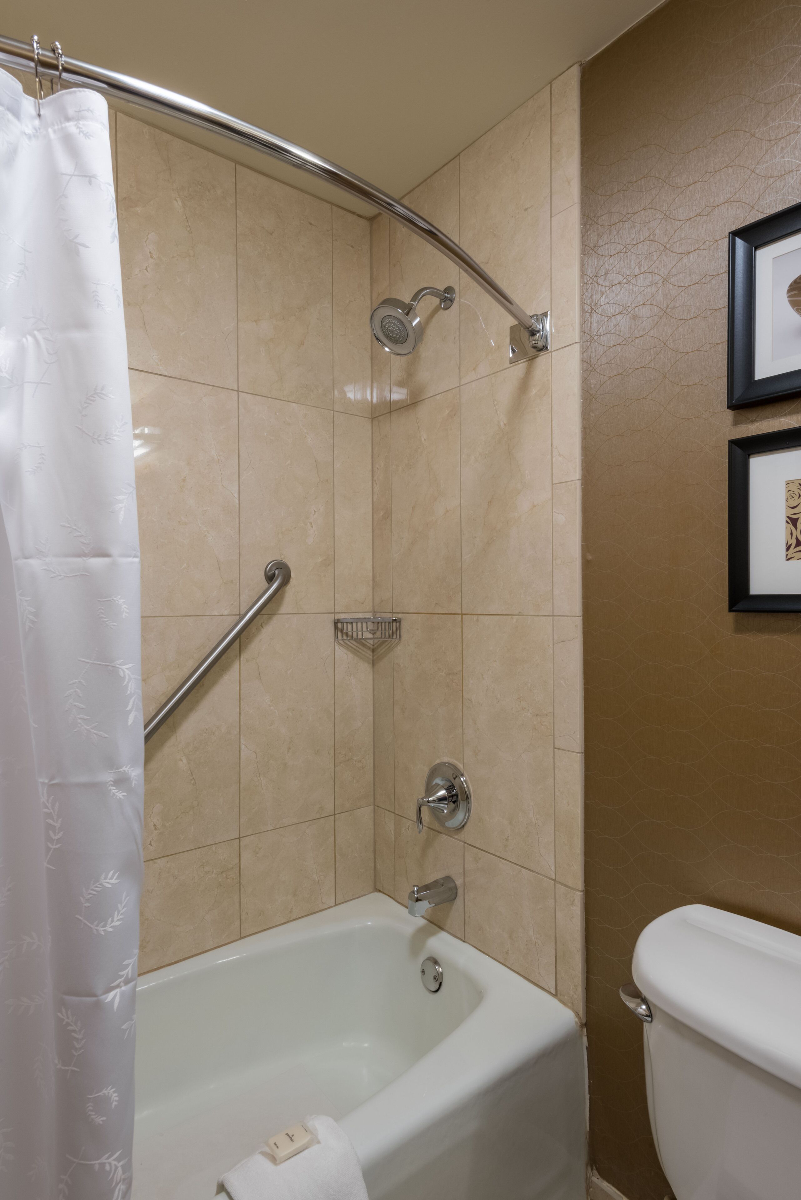 combined shower/bathtub, free toiletries, hair dryer, towels