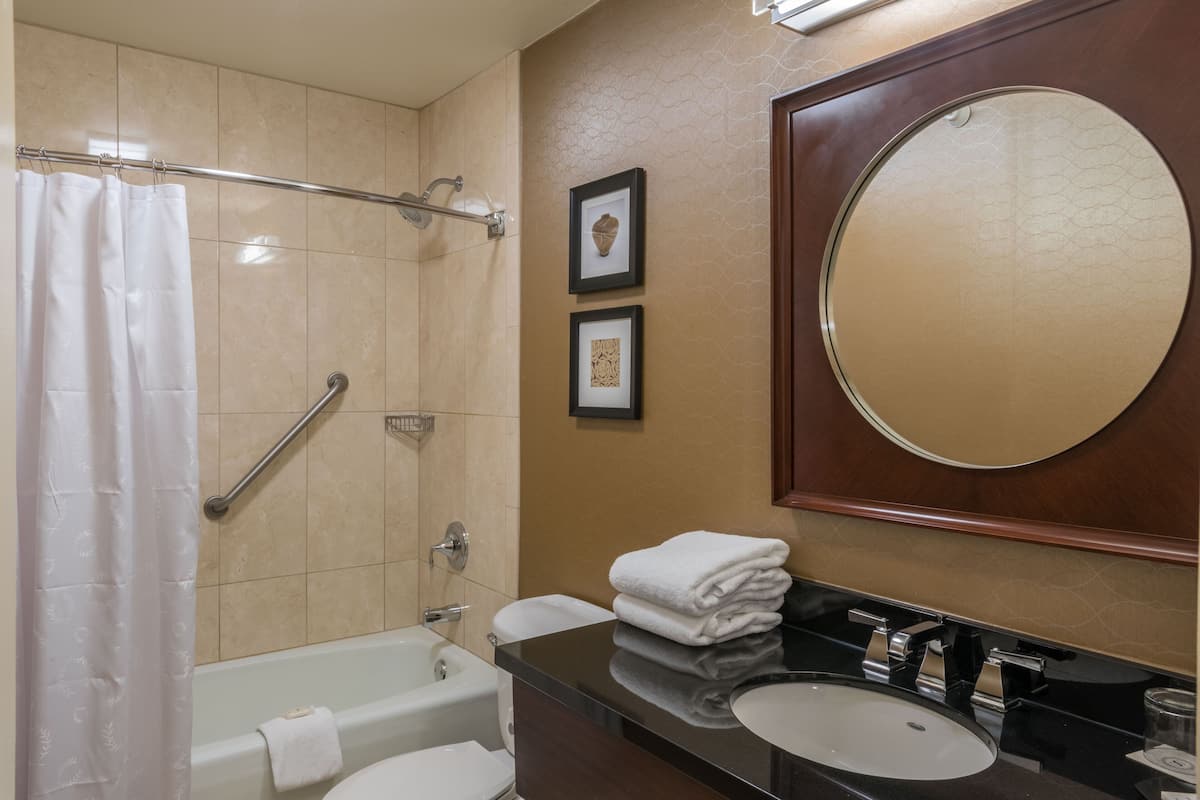 combined shower/bathtub, free toiletries, hair dryer, towels