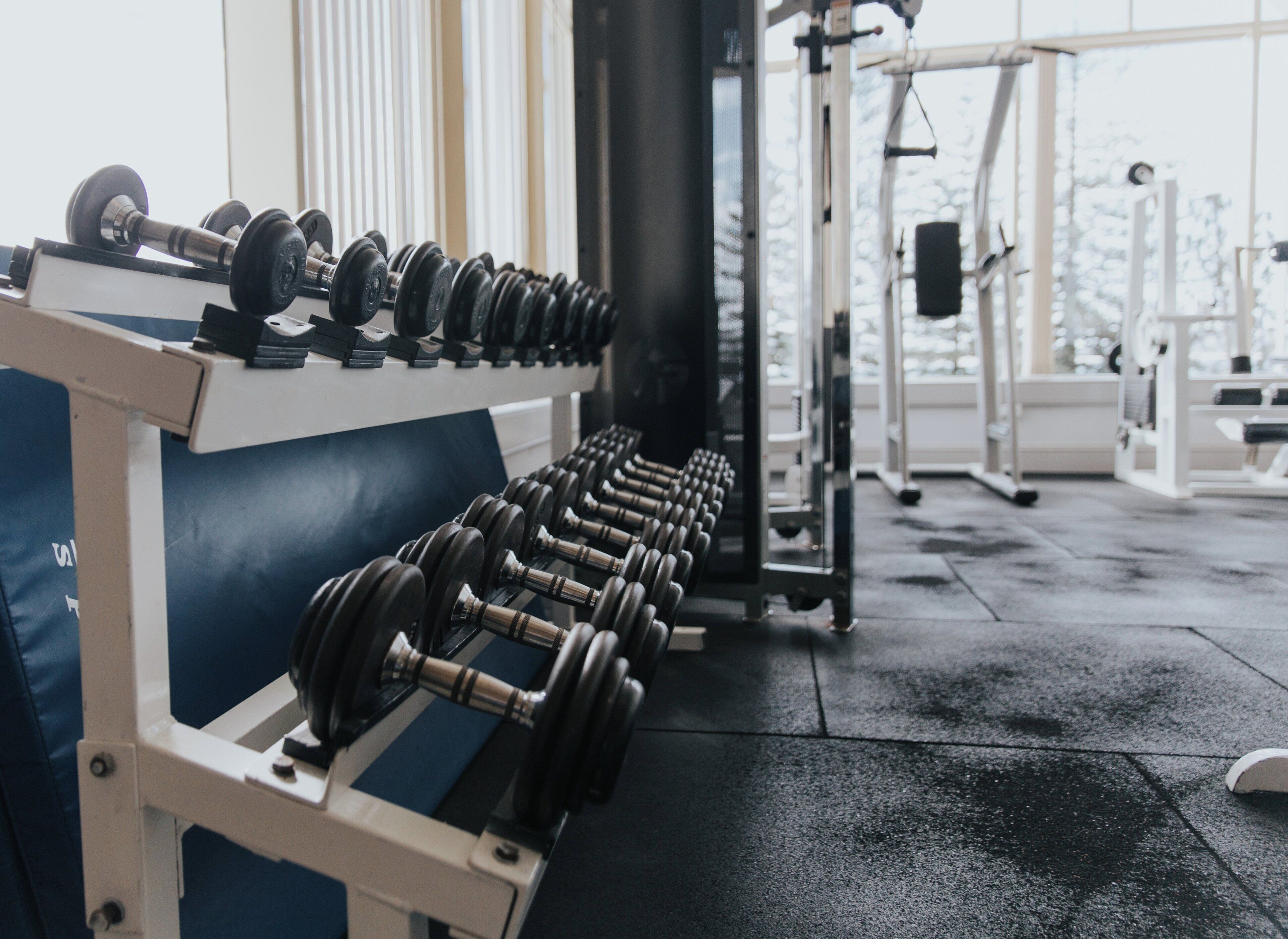 En række håndvægte på et stativ i et fitnesscenter med træningsudstyr i baggrunden.