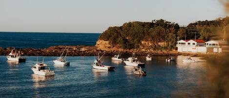 A coastal scene with several boats anchored near a rocky shore with buildings.