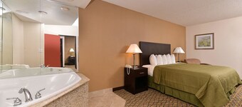 Quality Inn & Suites Matteson near I-57
