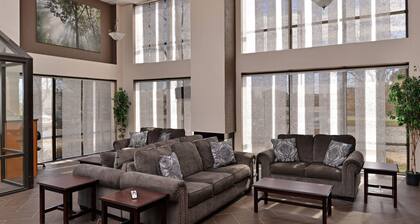 Quality Inn & Suites Matteson near I-57