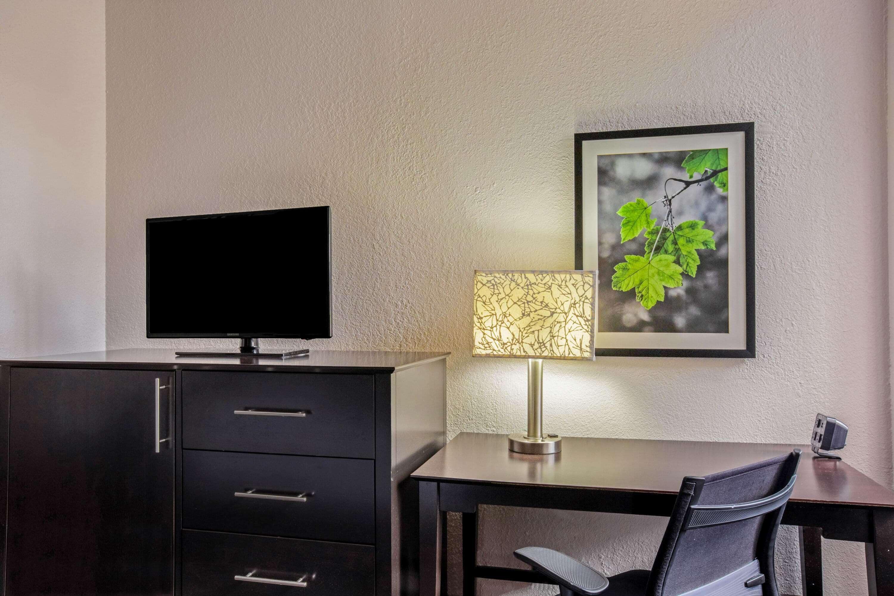 A hotel room with a flat-screen TV on a dark wooden cabinet, a desk with a lamp, and a framed picture of leaves on the wall.