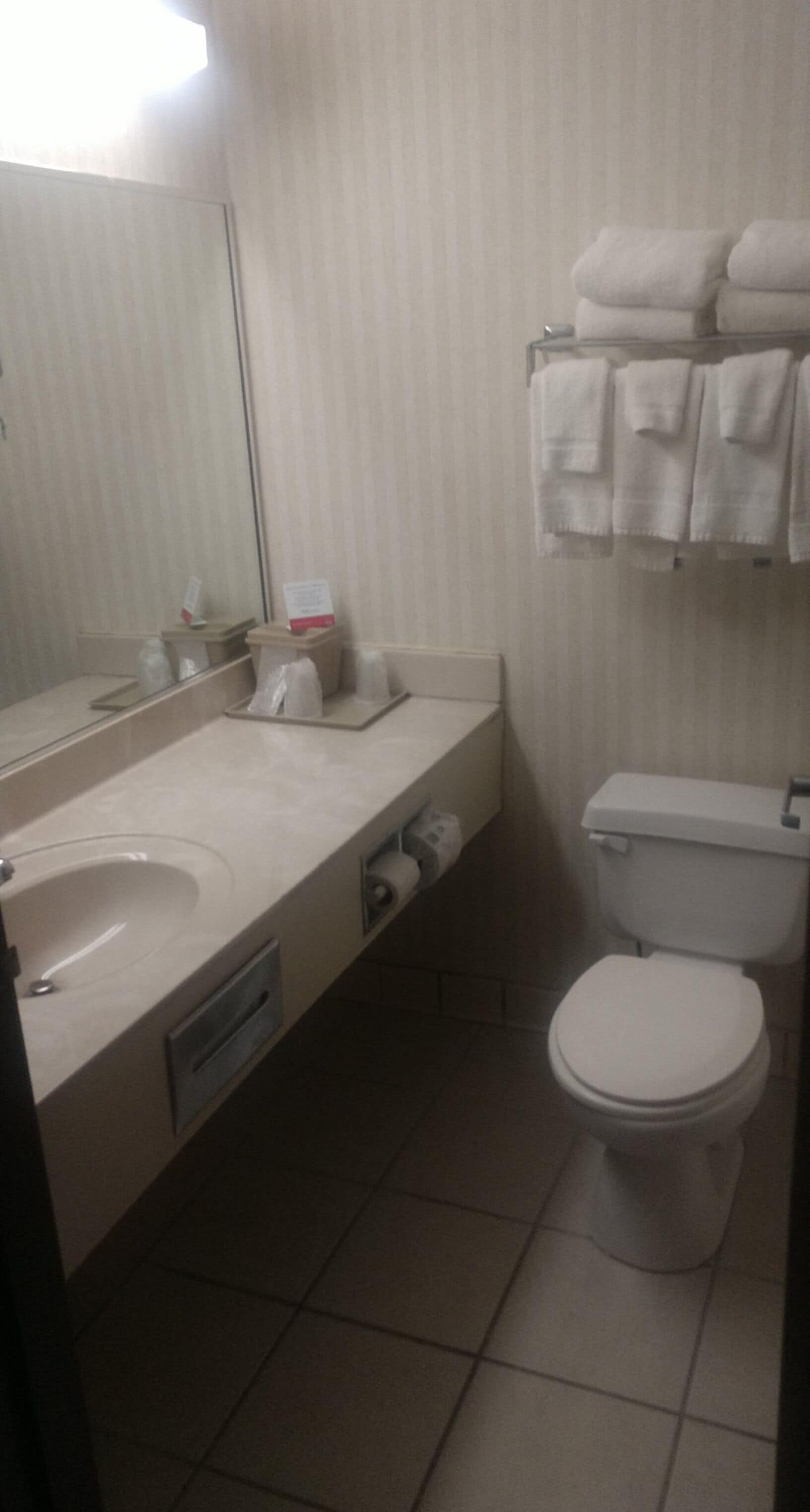 A bathroom with a sink, mirror, toilet, and towel rack.