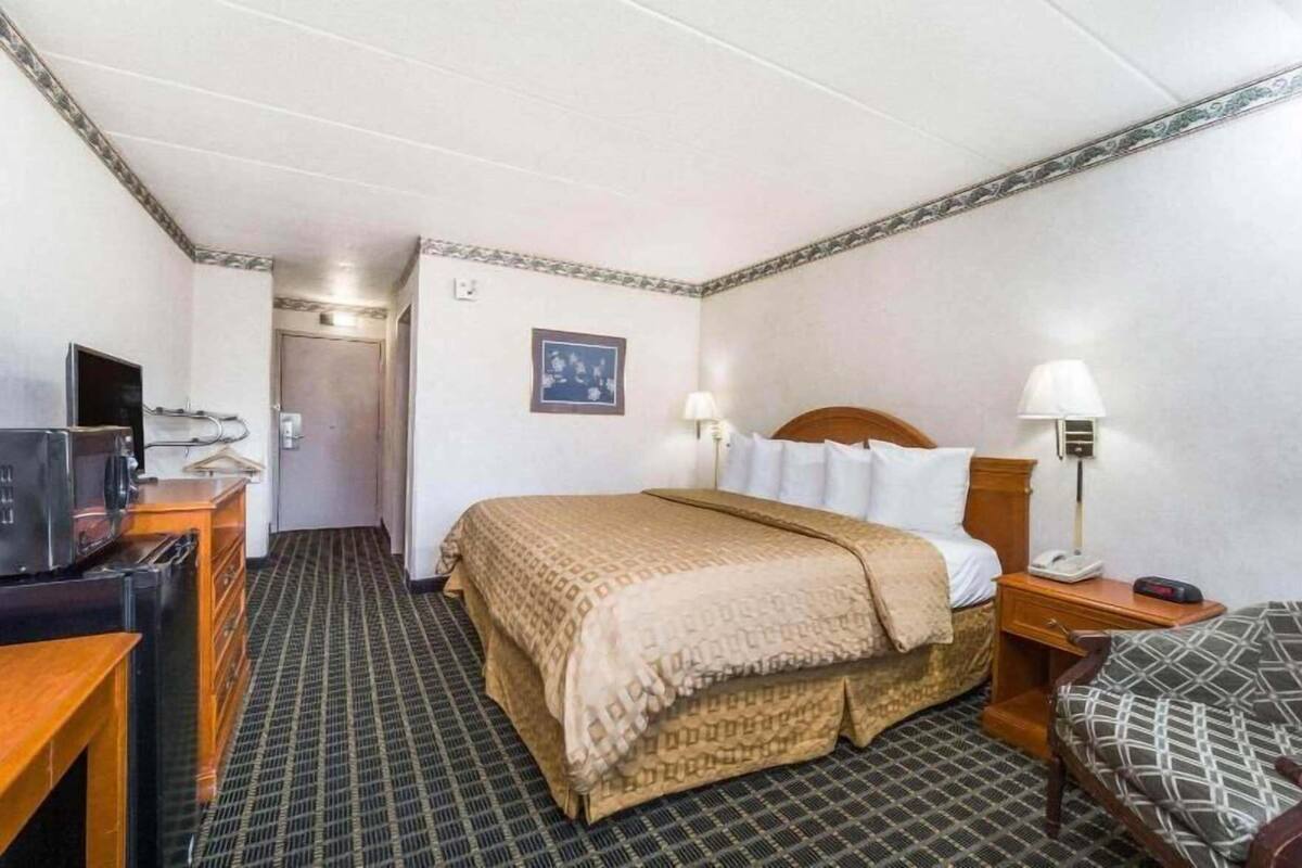 A hotel room with a bed, bedside table, lamp, and a television.