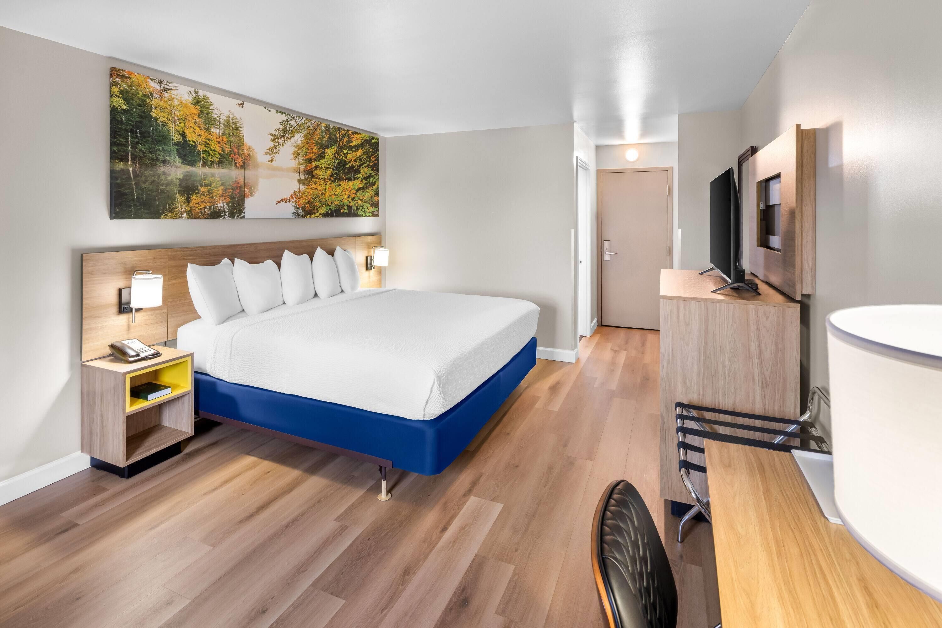 Standard Room, 1 King Bed | Desk, laptop workspace, blackout drapes, iron/ironing board