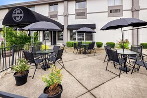 Terras