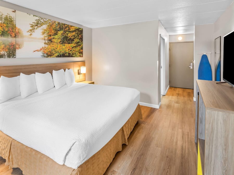 A hotel room with a large bed, a television, and a painting of autumn leaves on the wall.