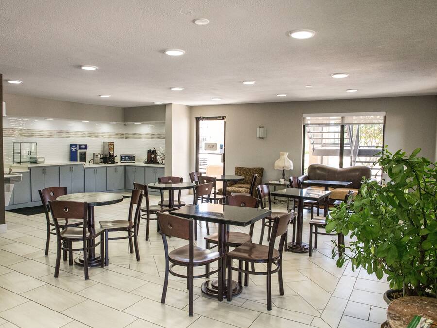 A spacious dining area with multiple tables and chairs, a kitchen in the background, and a large potted plant.