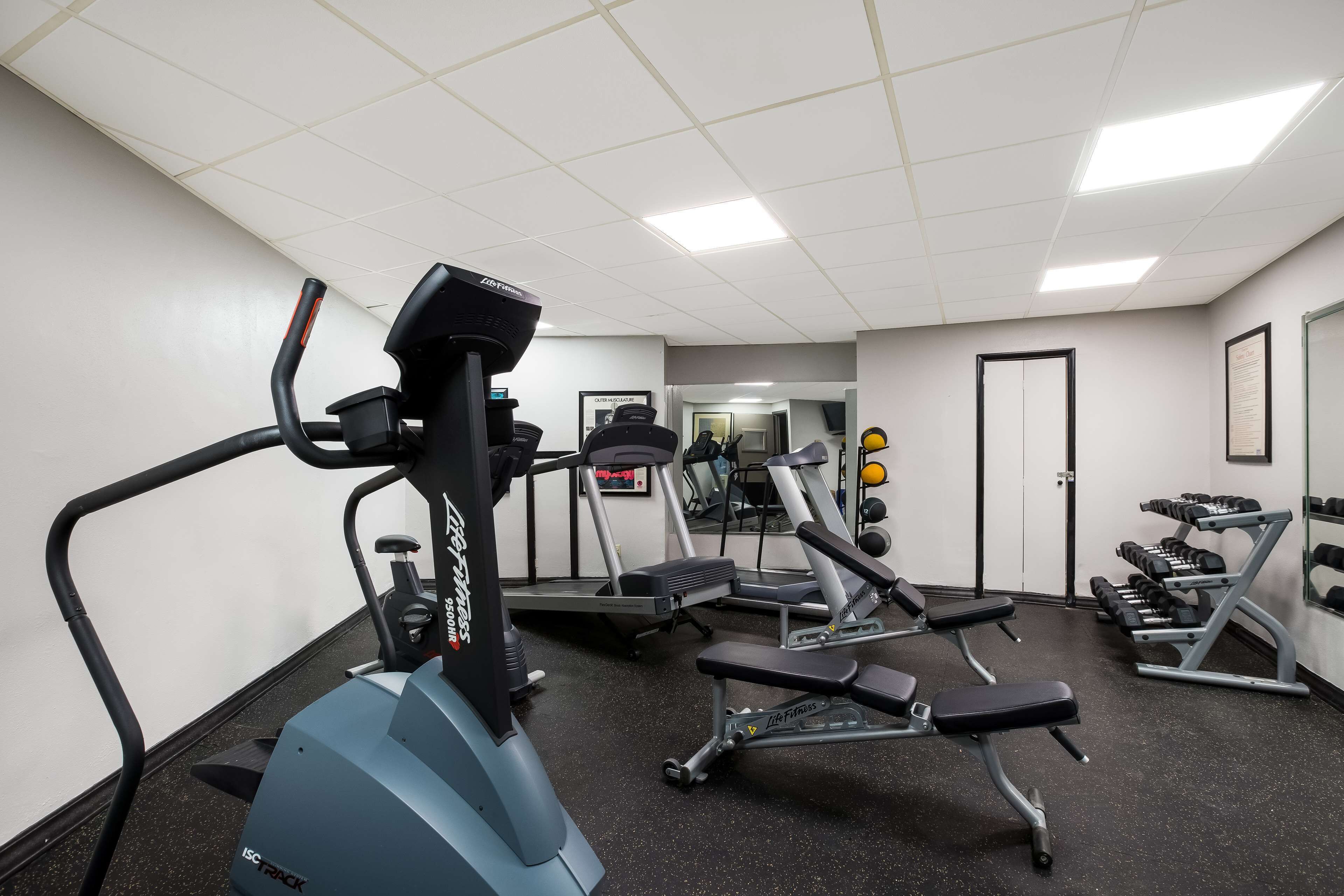 Un gimnasio con equipo cardiovascular, bancos para pesas y mancuernas.