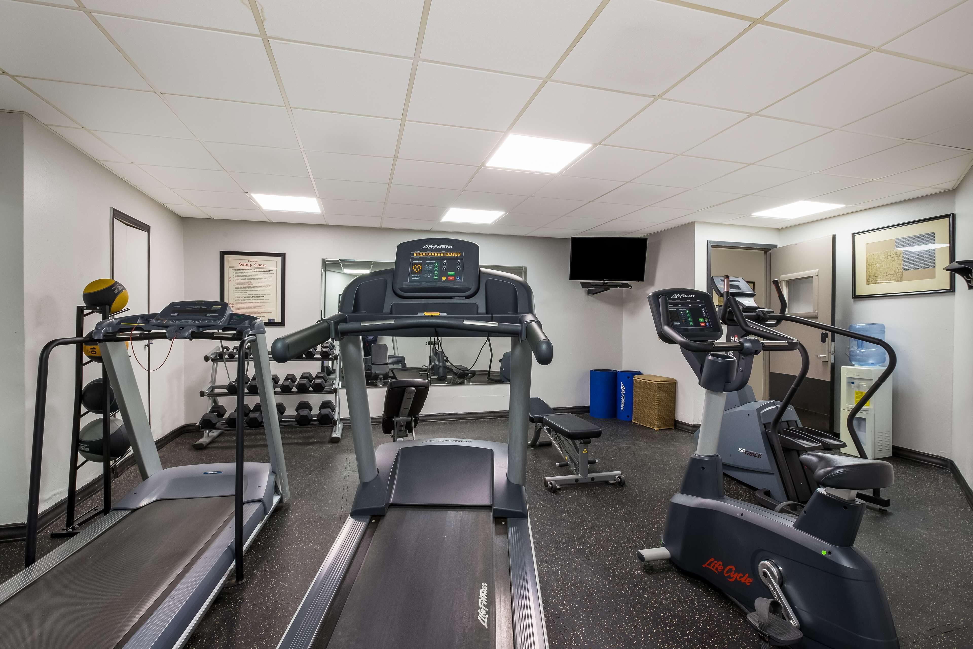 A gym with treadmills, elliptical machines, and dumbbells.