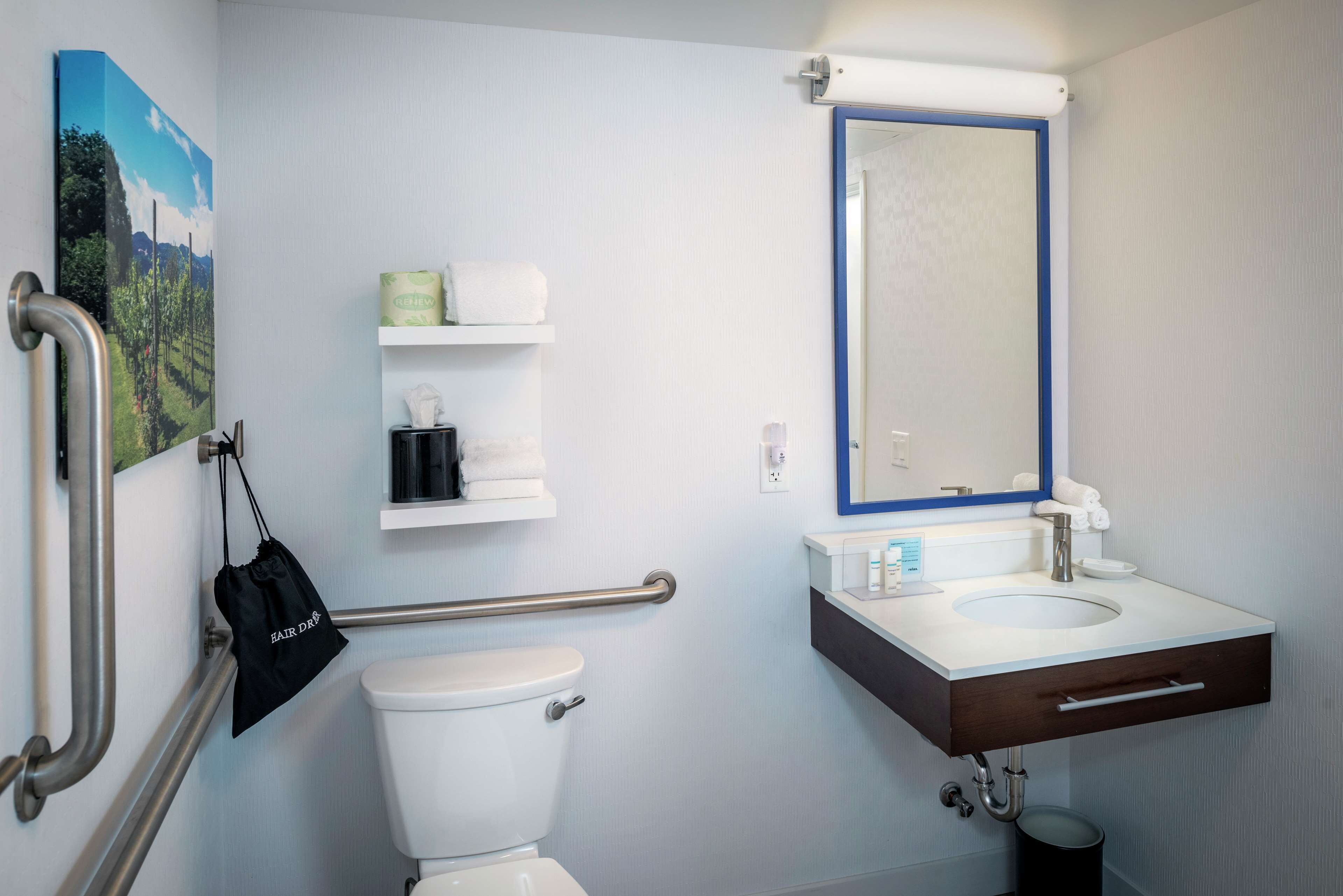 room, 1 king bed, accessible, non smoking (roll-in shower) | bathroom shower