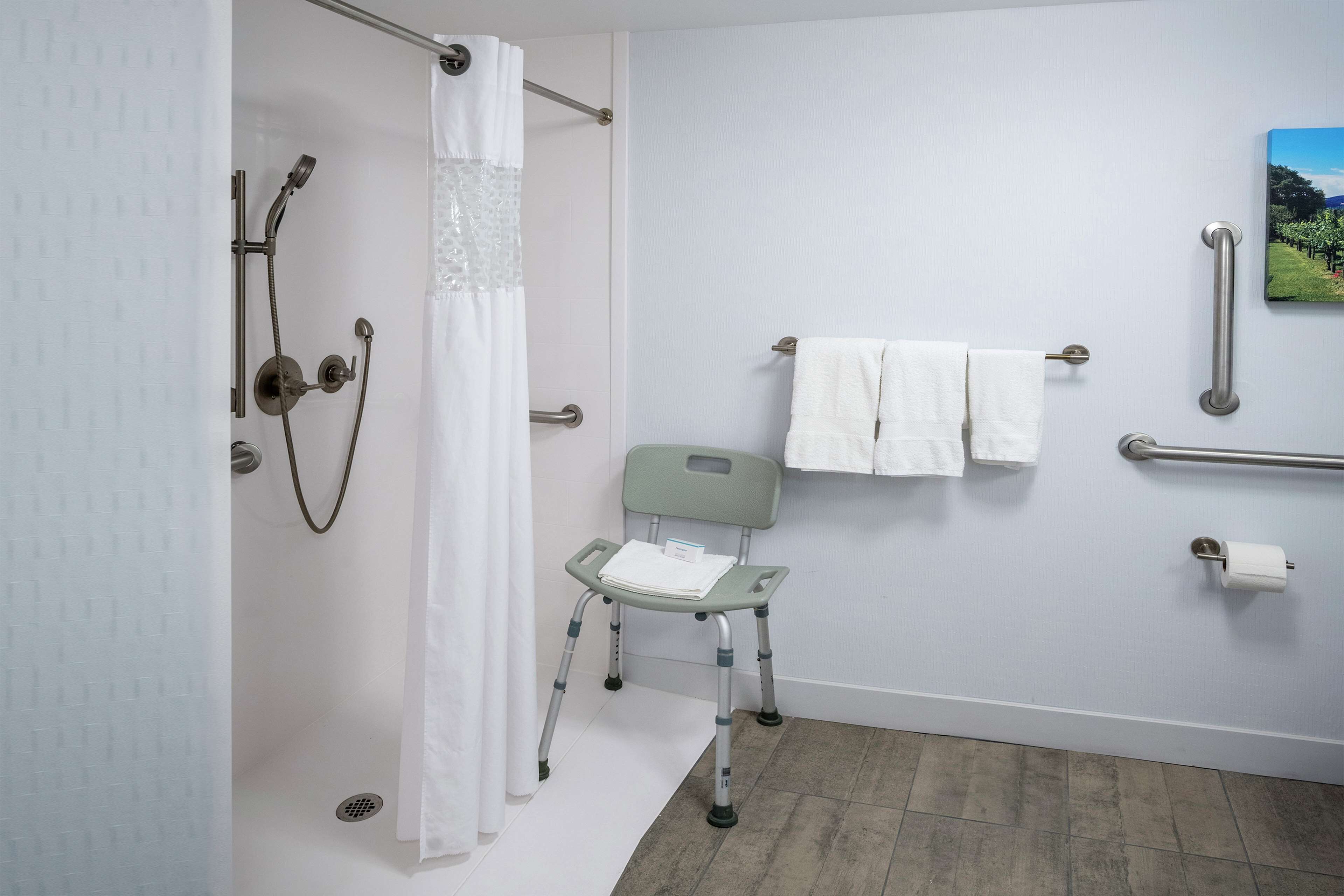 room, 1 king bed, accessible, non smoking (roll-in shower) | bathroom shower