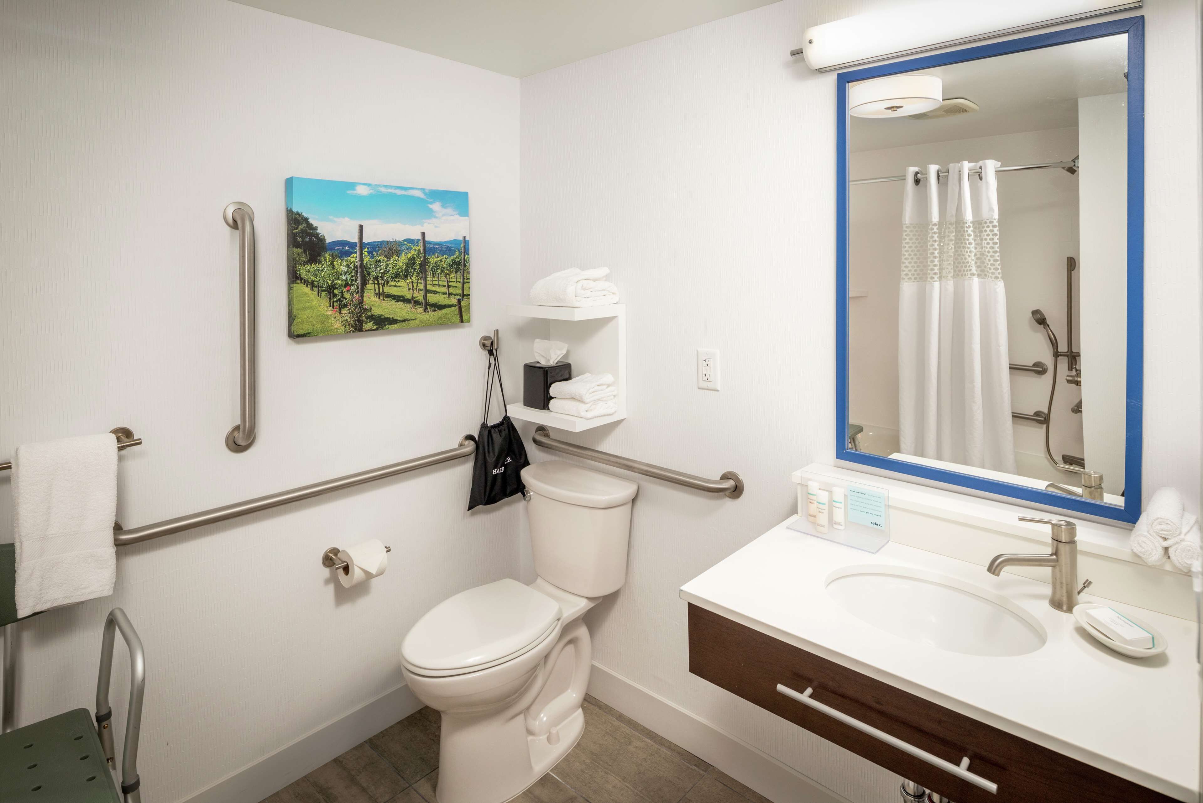 room, 1 queen bed, accessible, non smoking (bathtub) | bathroom | combined shower/bathtub, designer toiletries, hair dryer, towels