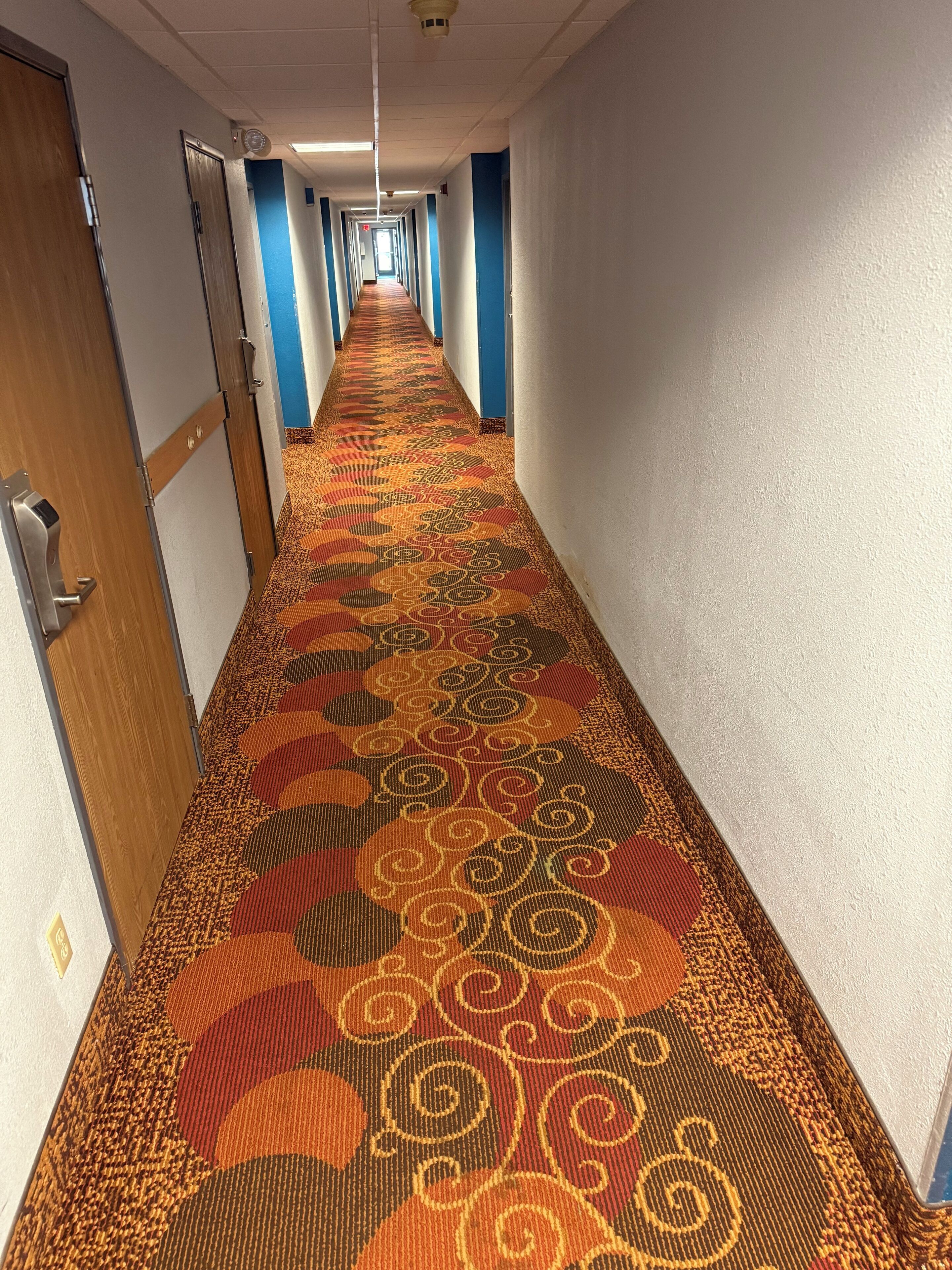 A hotel hallway with a patterned carpet, blue walls, and doors on both sides.