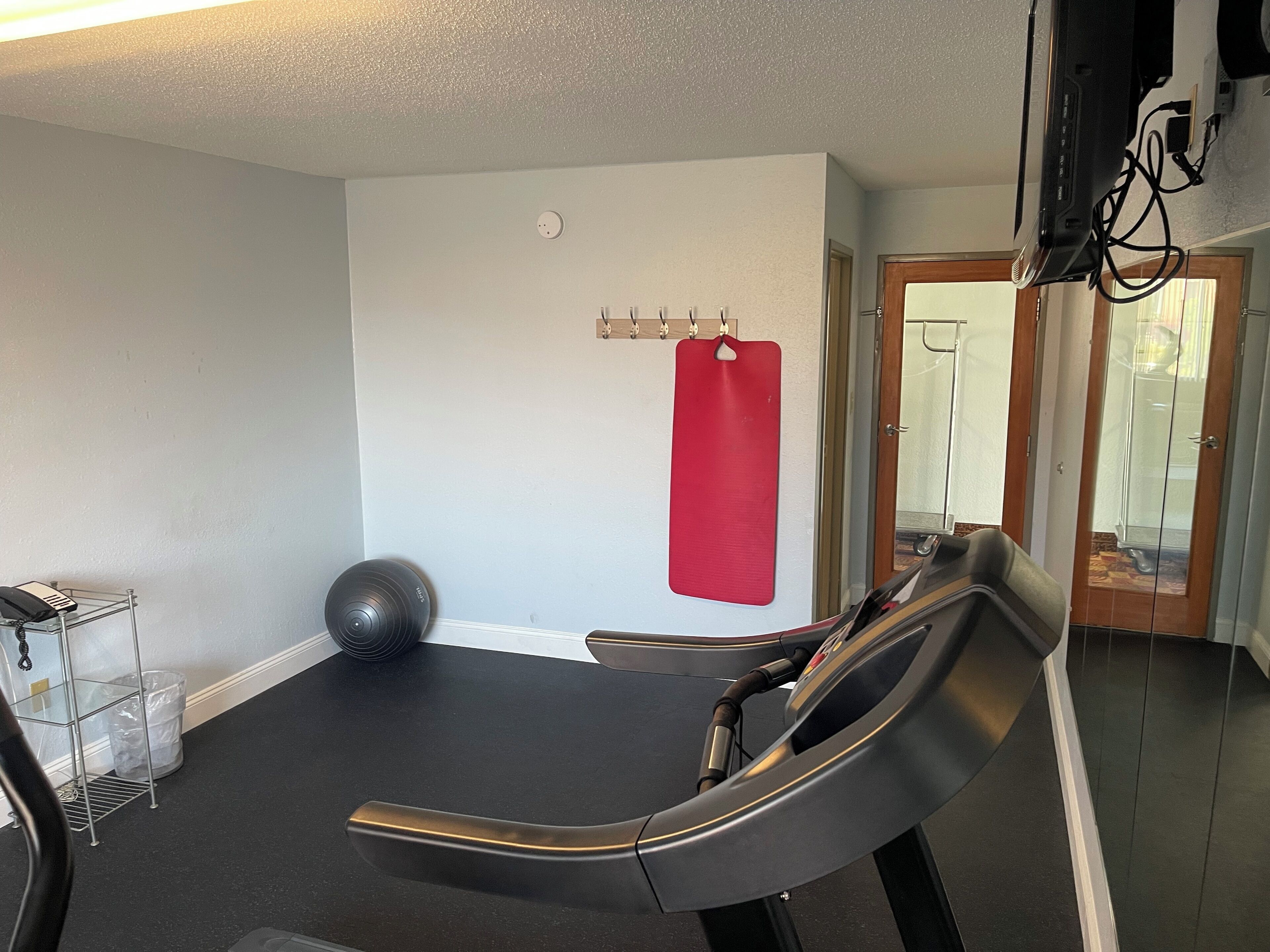 A home gym with a treadmill, a stationary bike, a red punching bag, and a yoga ball.