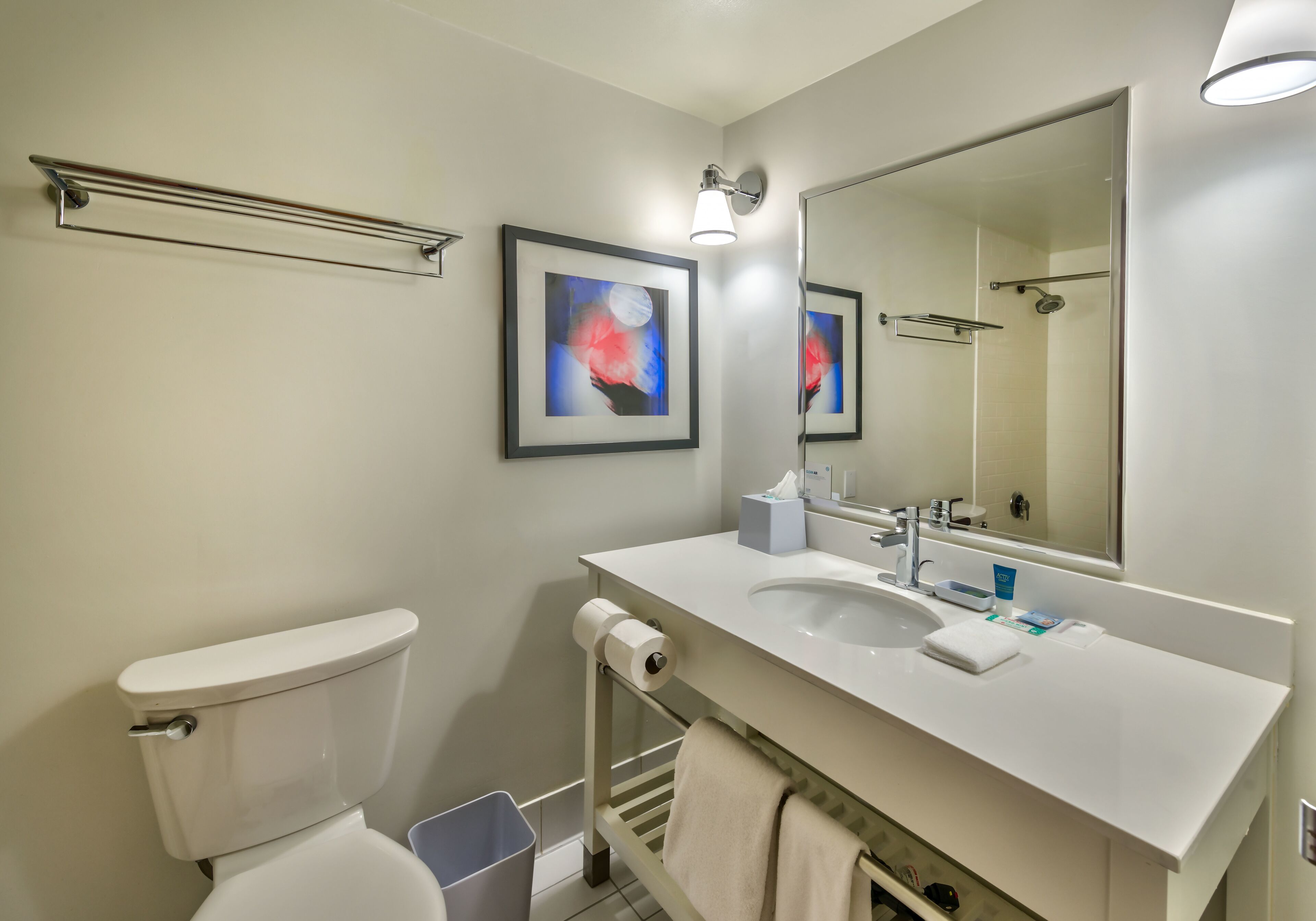 combined shower/bathtub, free toiletries, hair dryer, towels