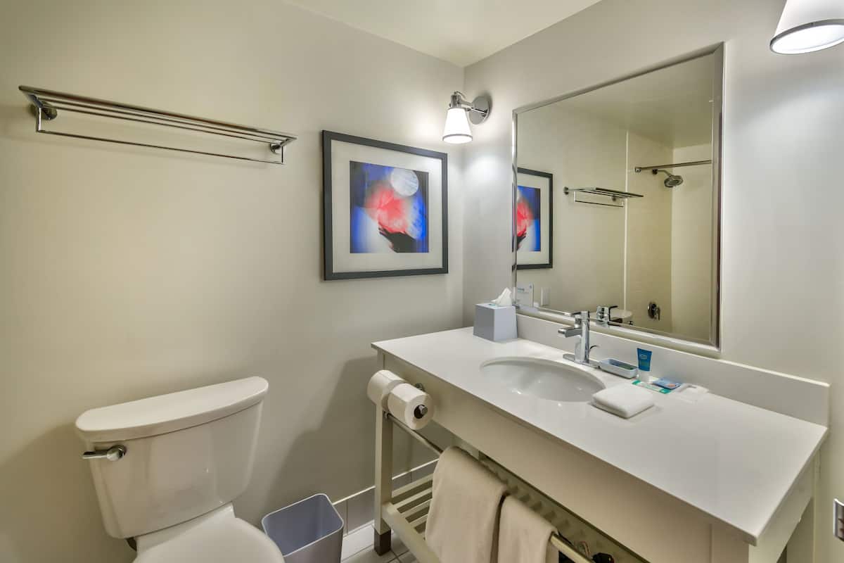 combined shower/bathtub, free toiletries, hair dryer, towels