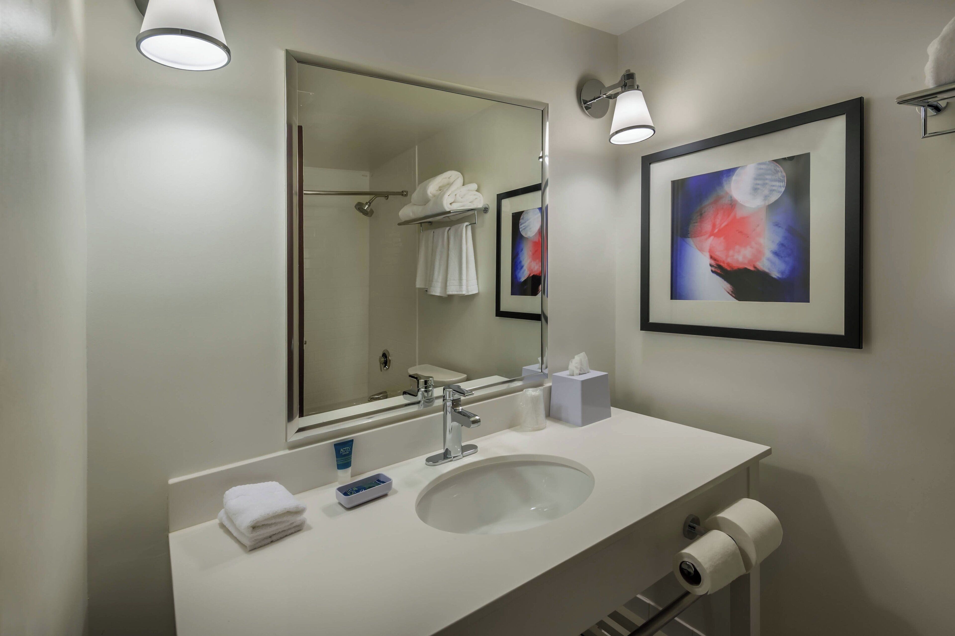 combined shower/bathtub, free toiletries, hair dryer, towels