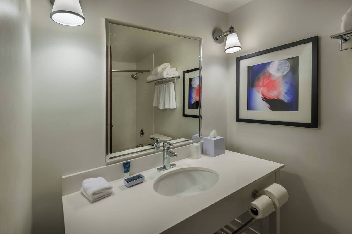 combined shower/bathtub, free toiletries, hair dryer, towels